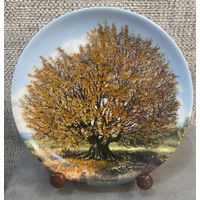 Декоративная настенная тарелка Tirschenreuth Баварский бук. Из серии Деревья великаны. Германия. 1988 год. 20 см.