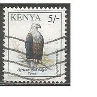 Кения. Птицы. Орлан-крикун. 1993г. Mi#577.