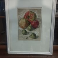 Картина Натюрморт с яблоками Врублевская Л.И. Акварель, гр.карандаш, бумага 21*30 см. Размер с рамой 45*54см.