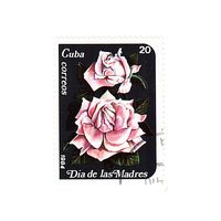 Куба 1984 Розы