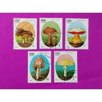 Куба. Грибы. ( 5 марок ) 1988 года. 8-12.