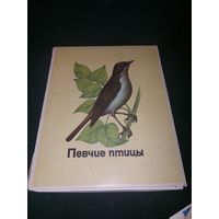 Набор спичек