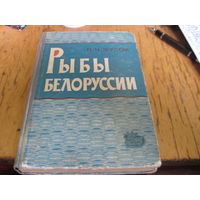 П.И. Жуков. Рыбы Белоруссии. 1965 г.
