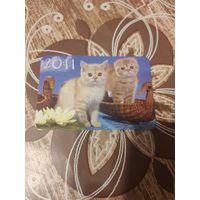 Календарик,котята,Украина