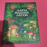 Дары наших лесов.