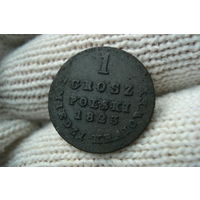 1 грош 1823 года