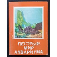 Комплект из 24 открыток (полный) Пестрый мир аквариума Сомы 1984 Выпуск 4