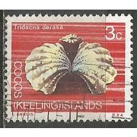 Кокосовые острова. Молюск Тридакна Дереза. 1969г. Mi#8.