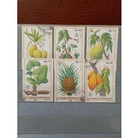 Флора Сан-Томе и Принсипи