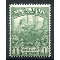 Британские колонии - Ньюфаундленд - 1919г. - карибу, 1 с - 1 марка - MNH [Mi 96]. #3-WB-94-A-1
