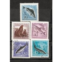 ФФ1 СССР Охрана фауны