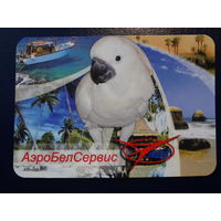 Календарик 2005 г.  АэроБелСервис.  Попугай.