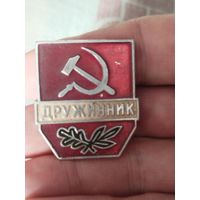 Дружинник