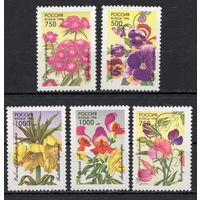 Россия 1996. Флора. Декоративные растения 5 марок 261-65 (151)