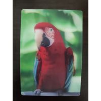 Календарик стерео 3 D Попугай 2020г