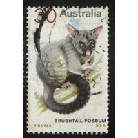 Австралия - 1974 [Mi. 544] Гашеная (AU14)