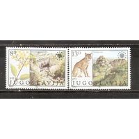 ФФ1 Югославия 1981 Заповедник