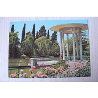 Сочи. Дендрарий; чистая, Аэрофлот.