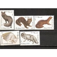ФФ1 СССР 1980 Ценные породы пушистых зверей