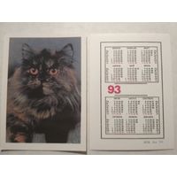 Карманный календарик. Котик. 1993 год