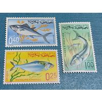 Марокко 1967 Морская фауна