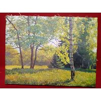 С рубля без мц. картина "Лесной пейзаж". х.м. 39х30см. без рамы