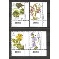 ФФ1 Украина 2017 Цветы