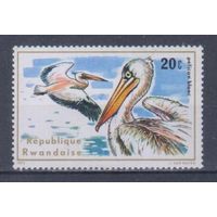 [1759] Руанда 1975. Фауна.Птицы.Белый пеликан. MNH