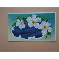 Віншую!  Цветы.  1990 г.  двойная.
