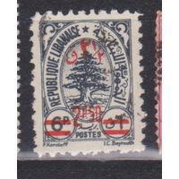 Флора деревья Ливан 1950 год лот 7 с НАДПЕЧАТКОЙ