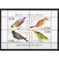 Болгария 2014. Певчие птицы блок (5179)