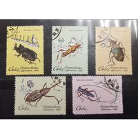 Куба. 1980 год. Фауна. Насекомые-вредители (190)