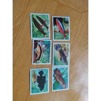 Никарагуа марки 1981 г. Рыбы.