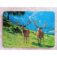 Календарики. Испания