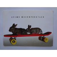 Календарик 2000 г. ИПП Новик. Время маскироваться.