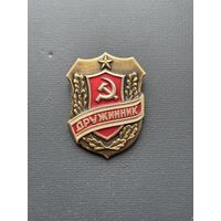 Значок дружинник СССР