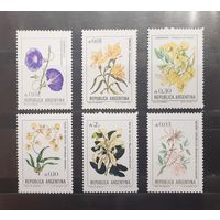 Аргентина. Флора. Цветы (243)