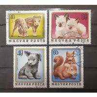 Венгрия. Фауна. 1974 год. Детёныши зверей (4 марки из серии)