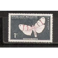 ФФ2 Мальгаш 1960 Фауна Флора