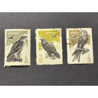 1965 СССР. Хищные птицы