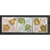 ФФ1 Габон 1962 Фрукты