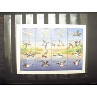 1996 Беларусь фауна утки и болотные птицы 2 малых листа + 2 блока полный комплект фауна MNH** (пр-12)