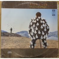 Pink Floyd Delicate Sound of Thunder 2 LP