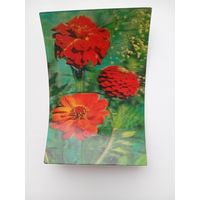 Стереооткрытка