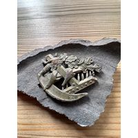 Знак (кокарда) сельхоз училища