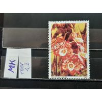 ГАЙАНА 1981г. Гаш.