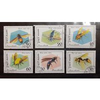 Вьетнам. 1982 год. Фауна. Насекомые (осы, пчёлы) (196)