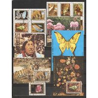 ФФ1 Экваториальная Гвинея Фауна