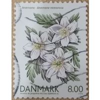 Дания 2006. Флора. Цветы. Anemone nemorosa