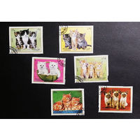 ОАЭ Шарджа 1972 г. Кошки. Котята. Фауна, полная серия из 6 марок #0235-Ф1P46